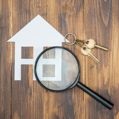 HOME SEARCH