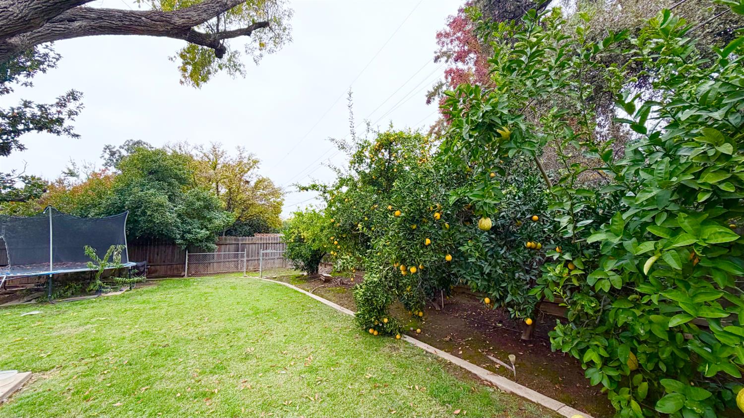 1328 Loftus Ln, Fresno, CA 93710